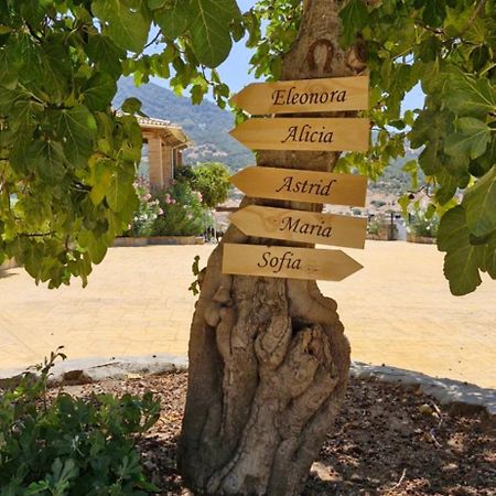 Casas Rurales- "Casa Larios" El Colmenar Eksteriør billede